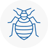 Bed Bug Extermination In Henley In Arden
