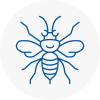 Henley In Arden Hornet Nest Removals