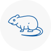Rat Control Henley In Arden