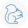 Henley In Arden Rodent Removals