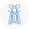 Henley In Arden Wasp Nest Removal